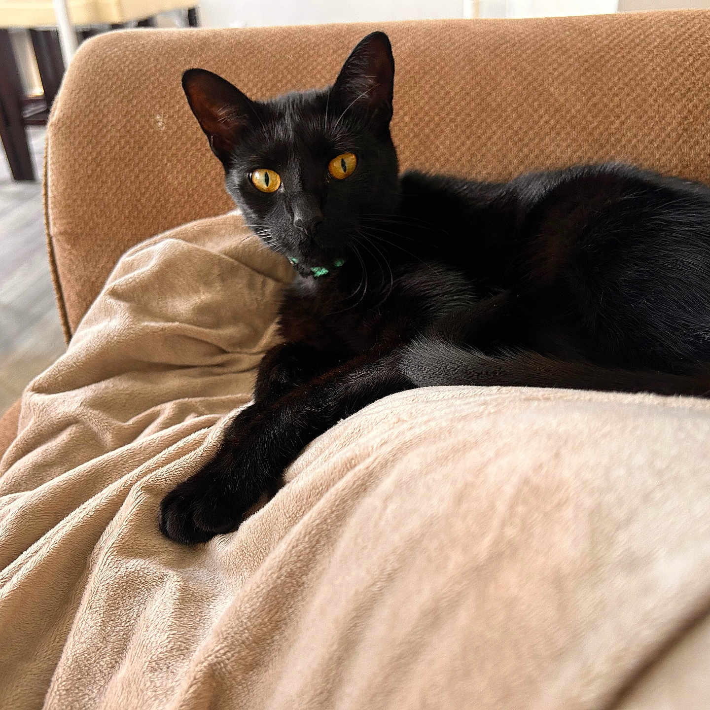 Frankie
