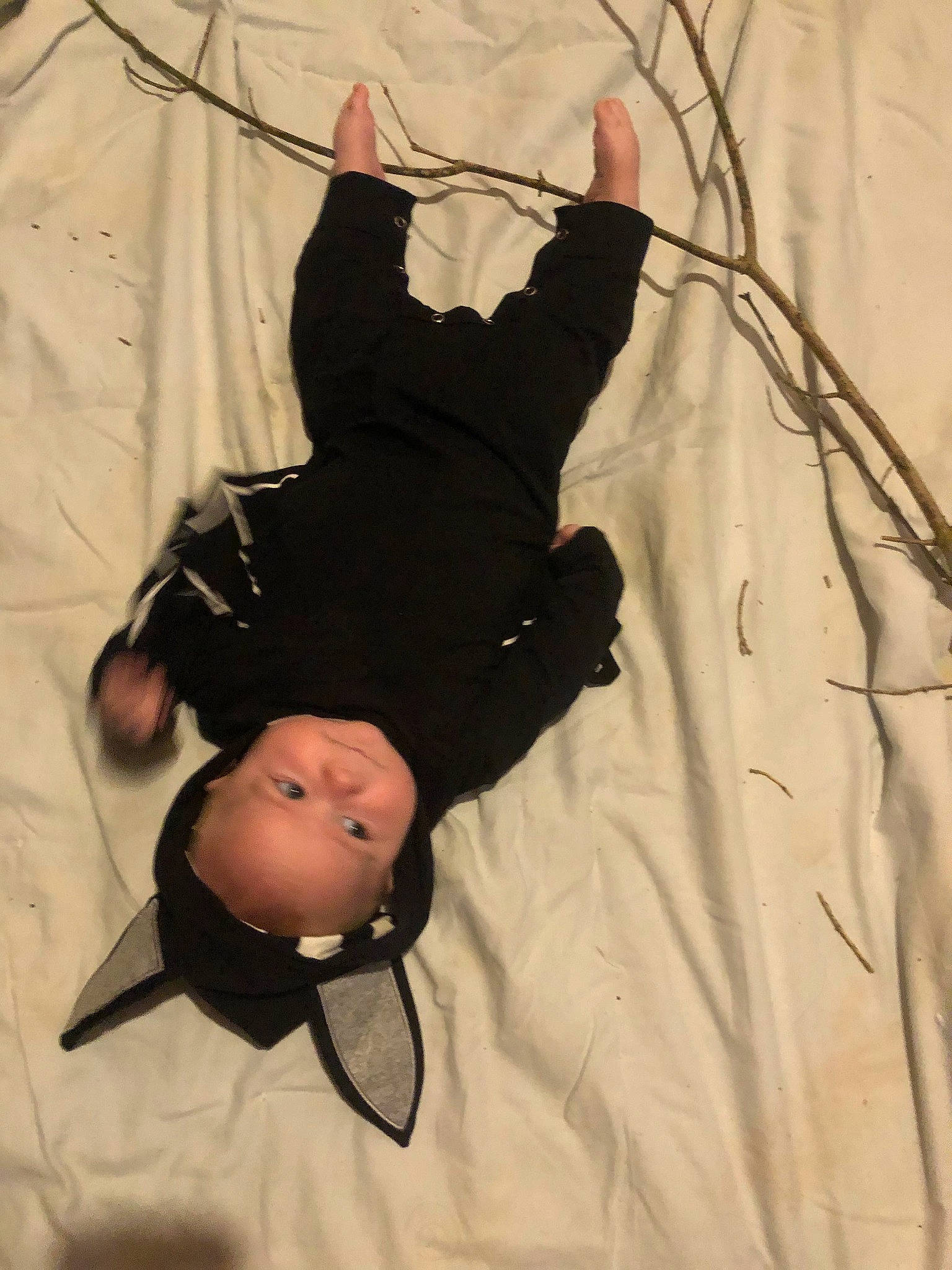 Colt is registered to the contest to win money with this photo: aerialist, baby, baby_products, baby_toddler_clothing, entertainment, event, fun, hat, human_body, performing_arts, person, recreation, room, shadow, sleeve, swing, textile, toddler, trapeze, twig