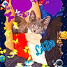 animal, astronaut, blanket, butterflies, cat, colorful, cozy, cute, decorative_frame, feline, glowing_text, hearts, indoor, pet, planets, purple_hearts, resting, space_theme, stars, text_overlay