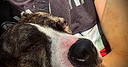 Maya participe au concours pour gagner de l'argent avec cette photo :