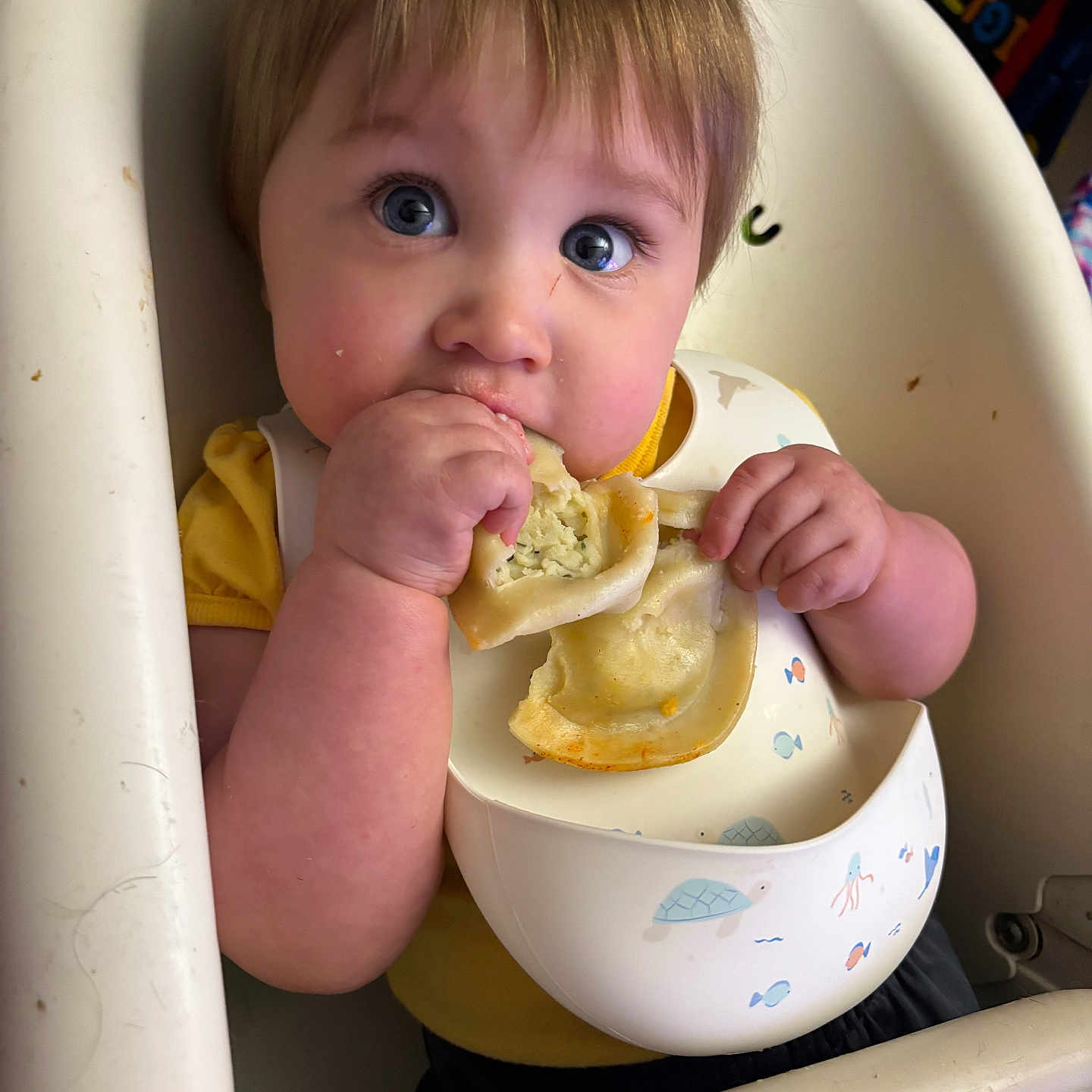 Atticus is registered to the contest to win money with this photo: baby, child, infant, high_chair, eating, food, messy_eating, bib, hands, face, blue_eyes, brown_hair, smiling, portrait, indoor, home, toys, balloons, feeding, lunchtime