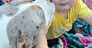Peyton is registered to the contest to win money with this photo: animal, baby, blanket, blue_eyes, child, curiosity, cute, dog, expression, face, friendship, fur, hand, interaction, outdoor, person, pet, retail, shopping_cart, yellow_shirt
