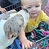 animal, baby, blanket, blue_eyes, child, curiosity, cute, dog, expression, face, friendship, fur, hand, interaction, outdoor, person, pet, retail, shopping_cart, yellow_shirt