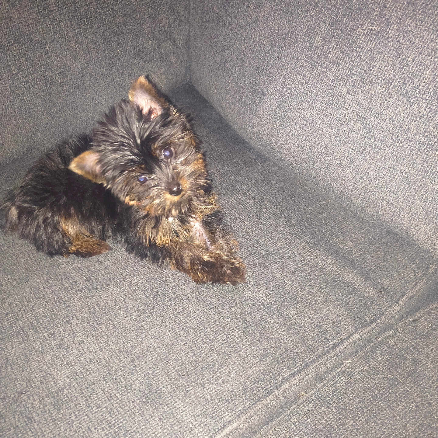 Tinker