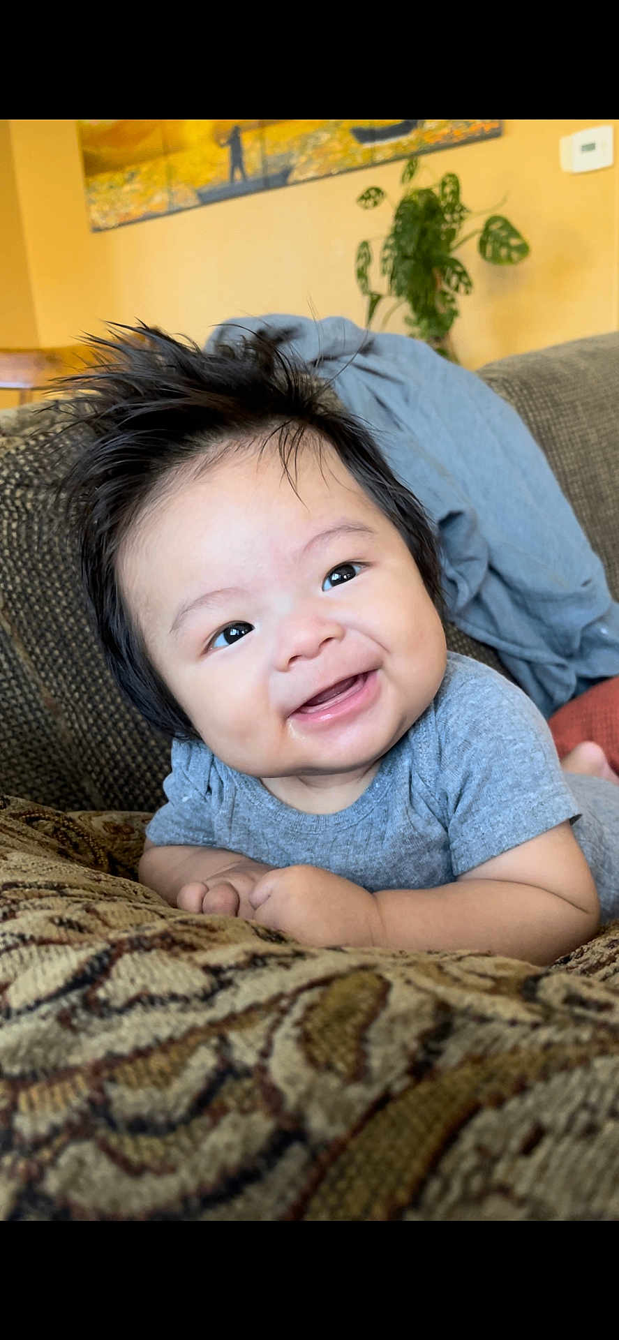Benvenido-Prime is registered to the contest to win money with this photo: baby, infant, smile, happy, hair, spiky_hair, couch, cushion, gray_clothing, face, child, indoor, plant, home, portrait, cute, person, young_child, relaxed, comfort
