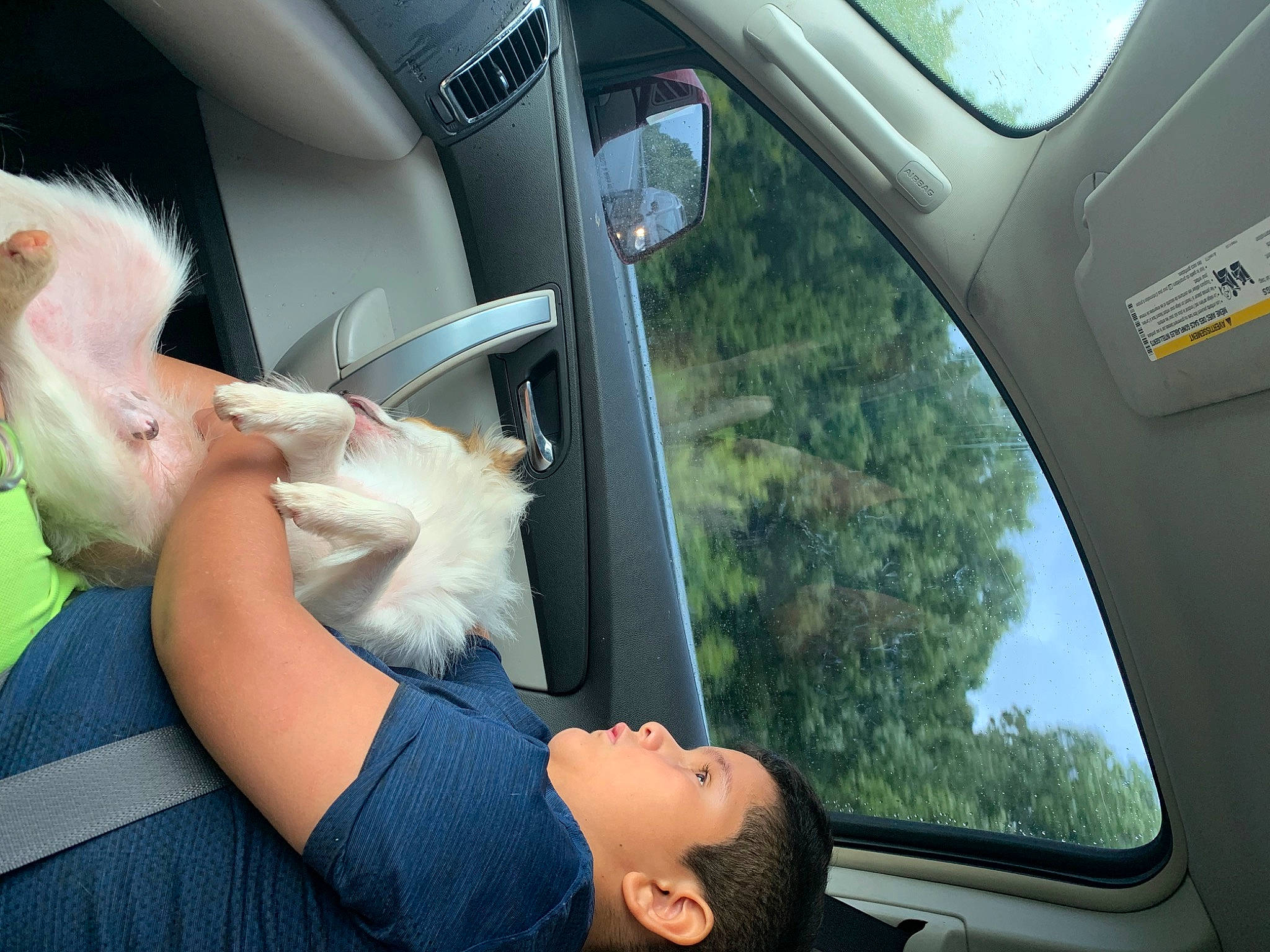 Gordo joined the competition — help win amazing prizes! auto_part, automotive_design, automotive_exterior, automotive_mirror, automotive_window_part, car_seat, family_car, gesture, glass, head_restraint, luxury_vehicle, mode_of_transport, motor_vehicle, passenger, personal_luxury_car, travel, vehicle, vehicle_door, window, windshield