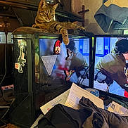 Liger joined the competition — help win amazing prizes! cat, clothing, clutter, computer_tower, cross, curtains, desk, electronics, furniture, indoor, papers, paw, person_on_tv, reflection, relaxed, room, stickers, tabby_cat, television, window
