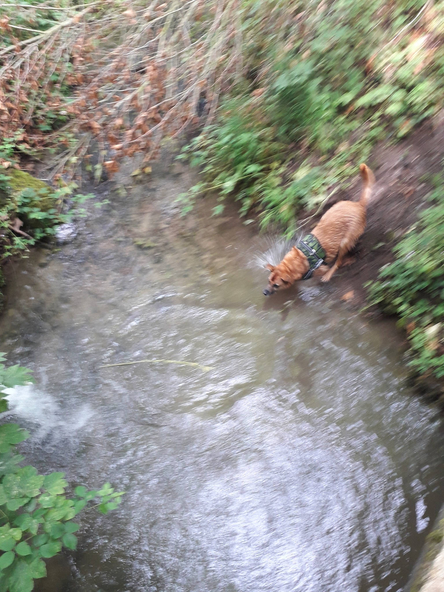 Malik a rejoint le concours — aidez-le/la à gagner de superbes lots !