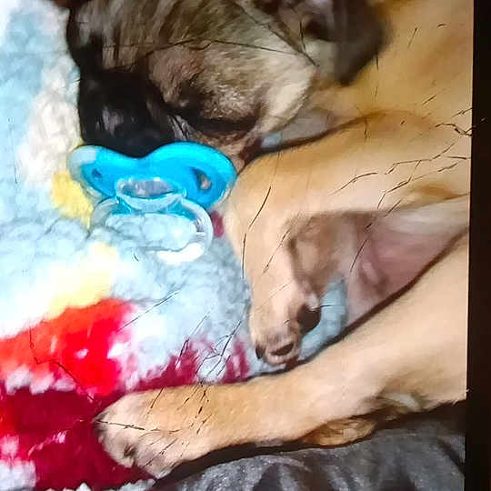 Matilda