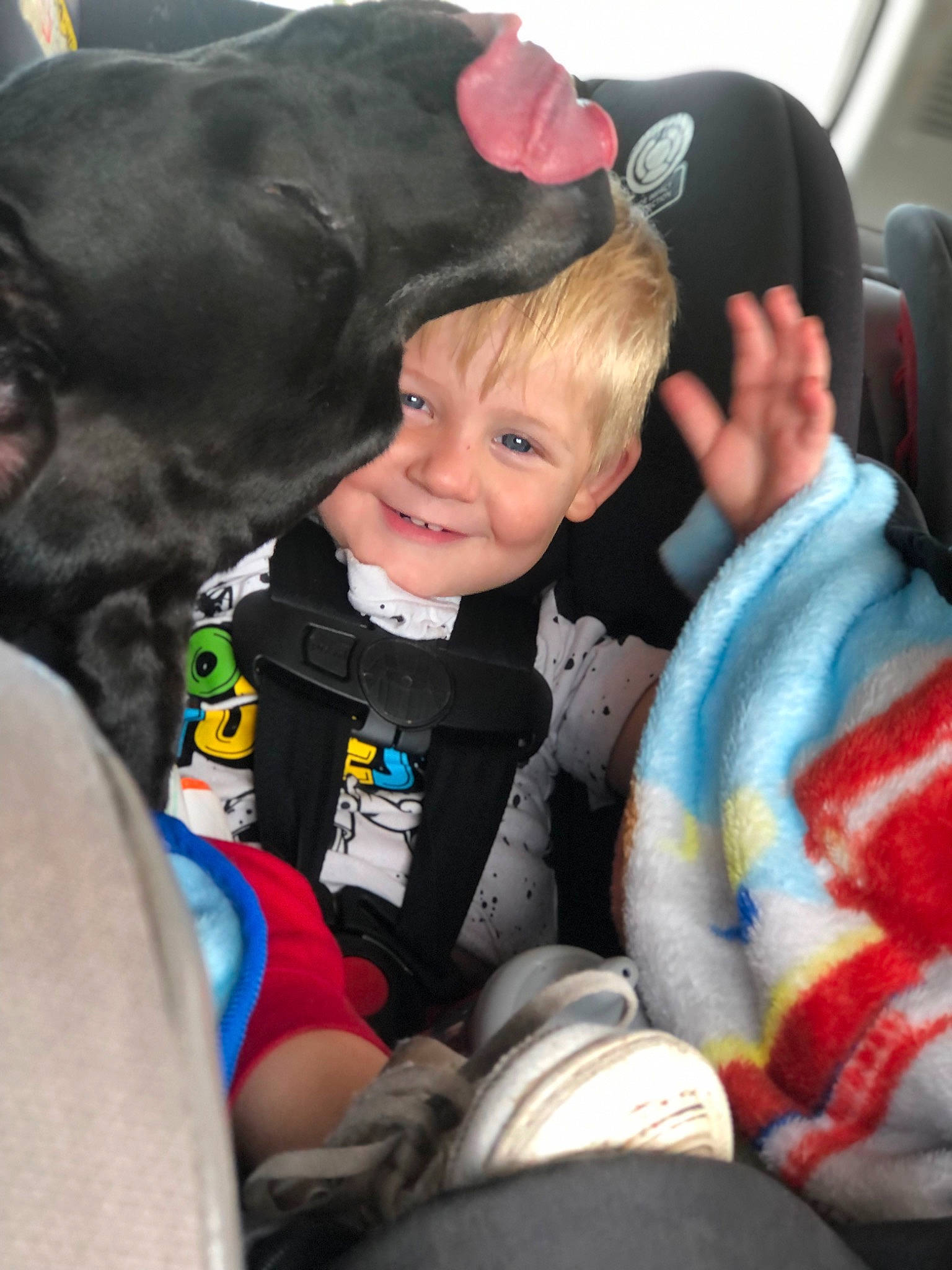 Blayke is registered to the contest to win money with this photo: auto_part, baby, car_seat, car_seat_cover, child, comfort, family_car, fun, fur, gesture, happy, head_restraint, interaction, joy, leisure, person, personal_protective_equipment, recreation, sitting, smile
