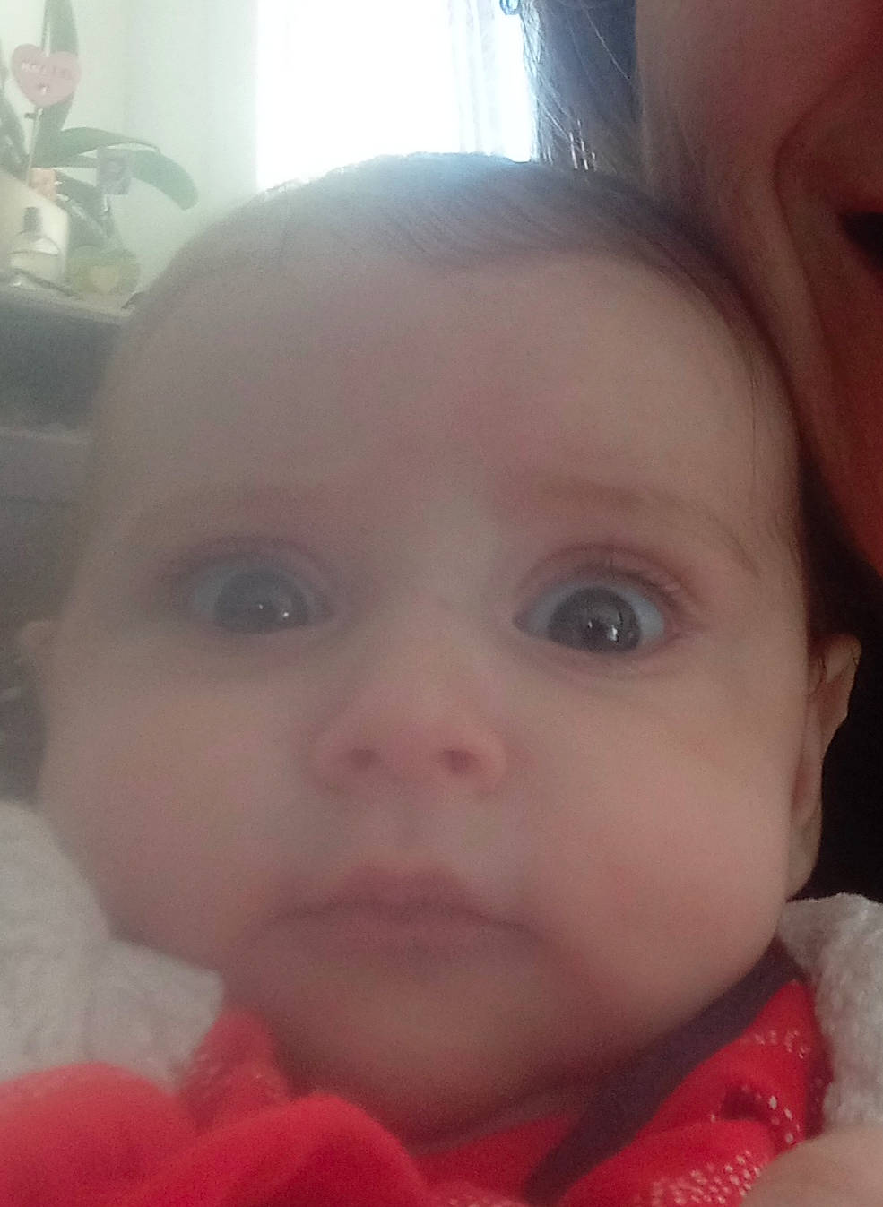 Célia Inaya participe au concours pour gagner de l'argent avec cette photo : baby, baby_toddler_clothing, cheek, child, chin, close_up, ear, eyebrow, eyelash, forehead, happy, head, houseplant, iris, lip, mouth, nose, person, plant, skin