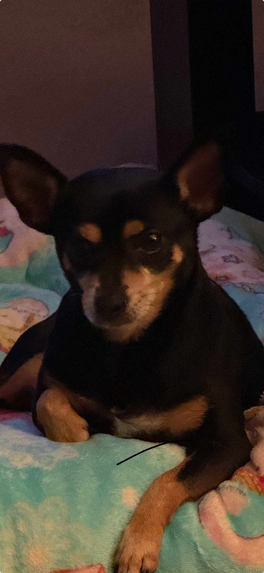 Missy