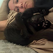 Pea is registered to the contest to win money with this photo: animal, black_cat, blanket, cat, closeup, companion, couch, cozy, cute, face, feline, fur, home, indoor, paw, person, pet, relaxing, resting, sleepy