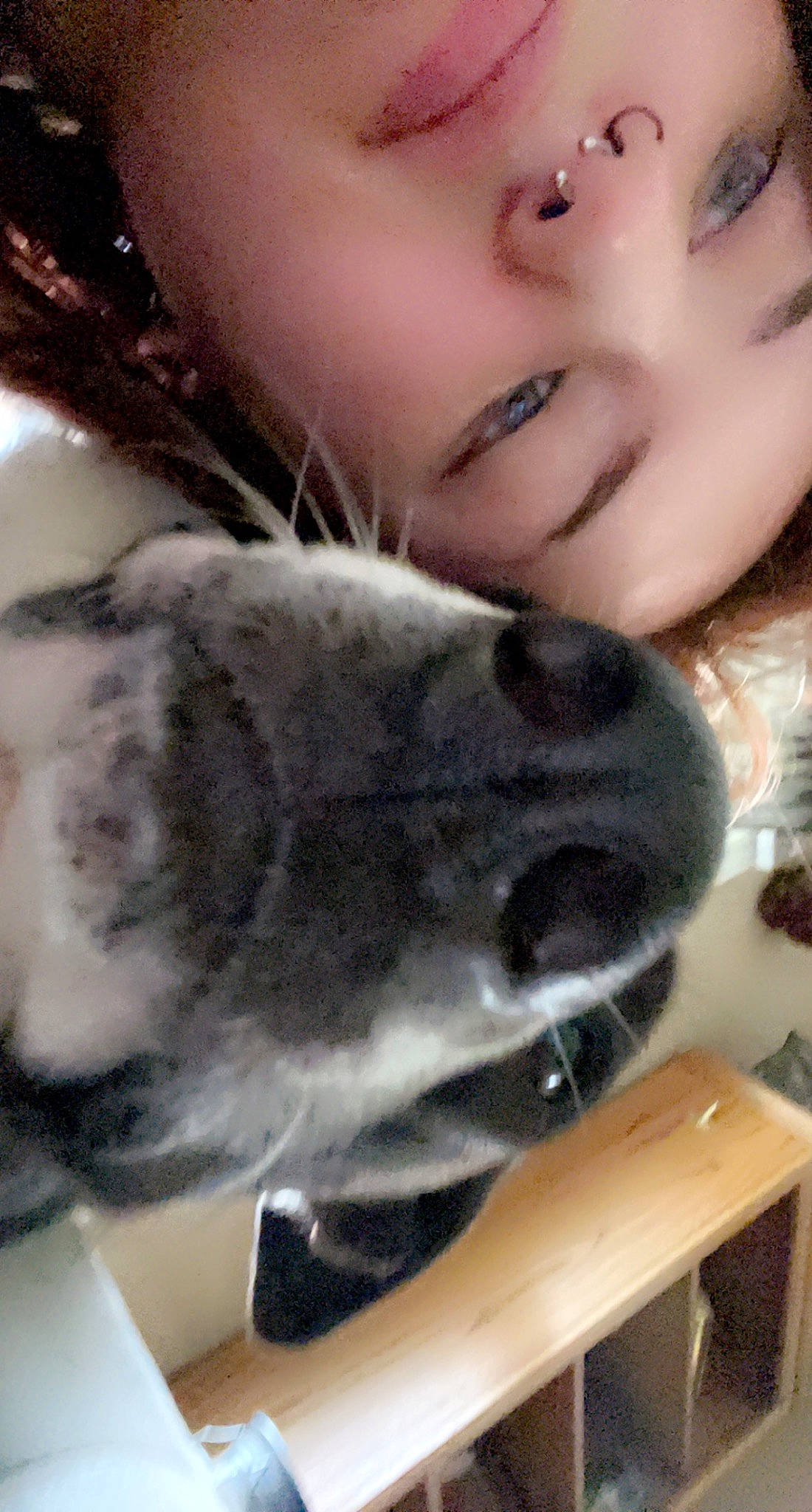 Whisky is registered to the contest to win money with this photo: companion_dog, dog_breed, ear, eyelash, fawn, felidae, fur, fur_clothing, gesture, happy, nose, selfie, skin, small_to_medium_sized_cats, snout, table, tail, tree, whiskers, wool