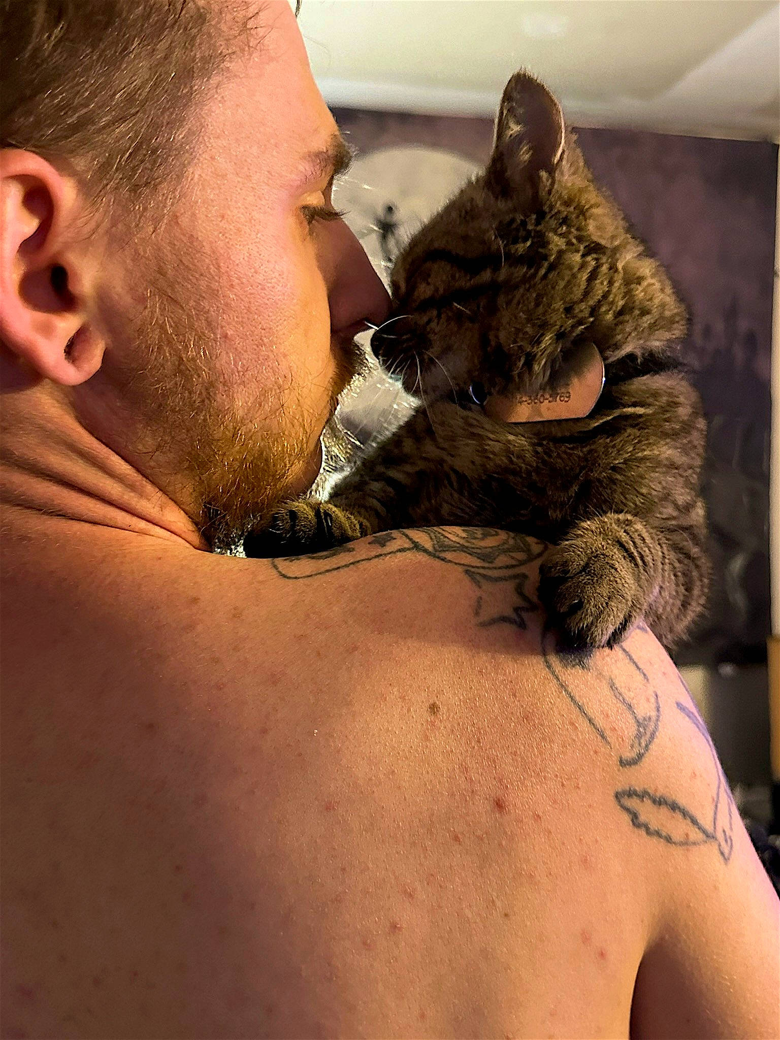 Noodles joined the competition — help win amazing prizes! barechested, beard, cat, chest, ear, elbow, facial_hair, felidae, fur, human_body, joint, military_camouflage, neck, shoulder, skin, tattoo, tattoo_artist, temporary_tattoo, trunk, whiskers