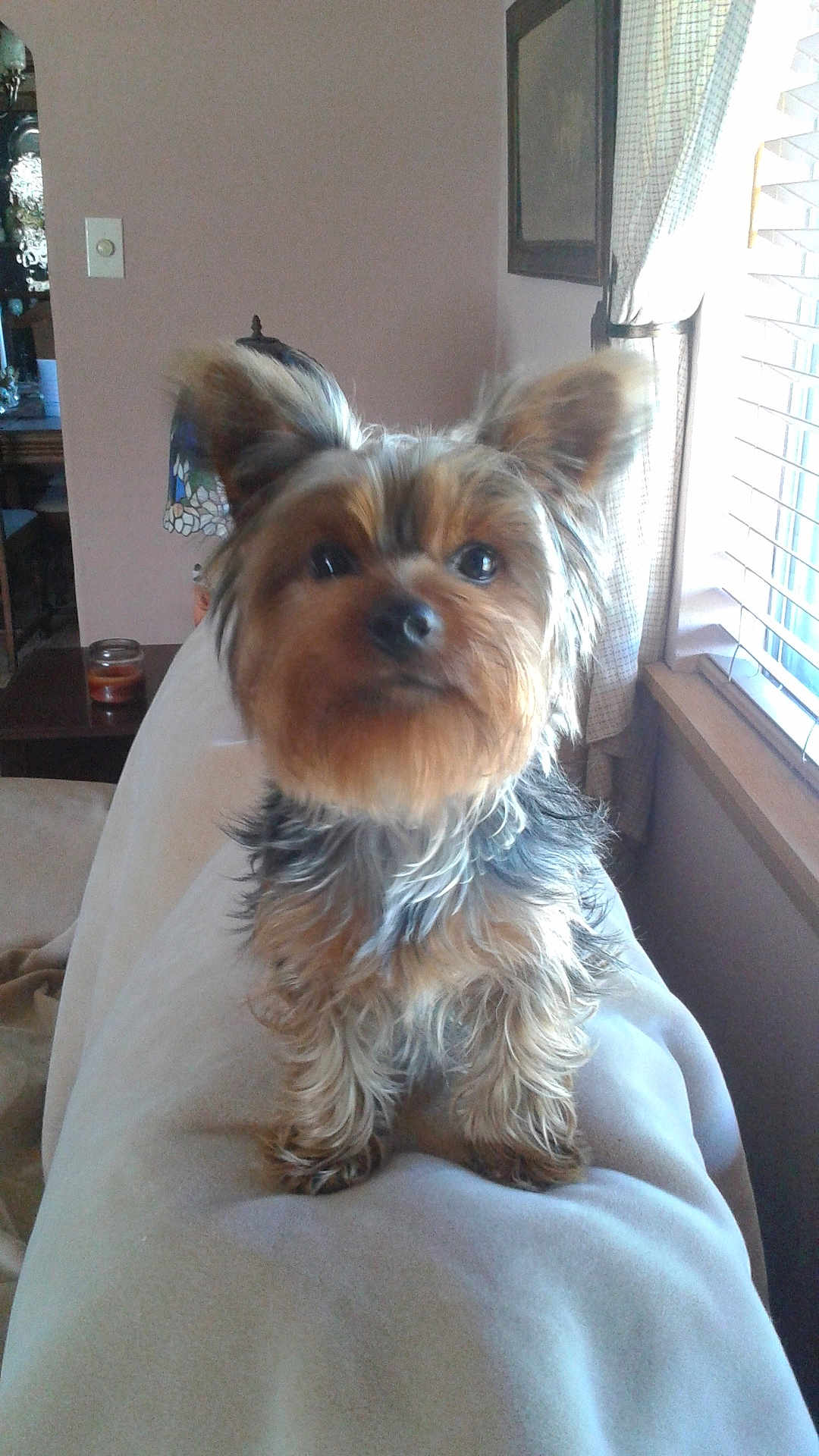 Missy