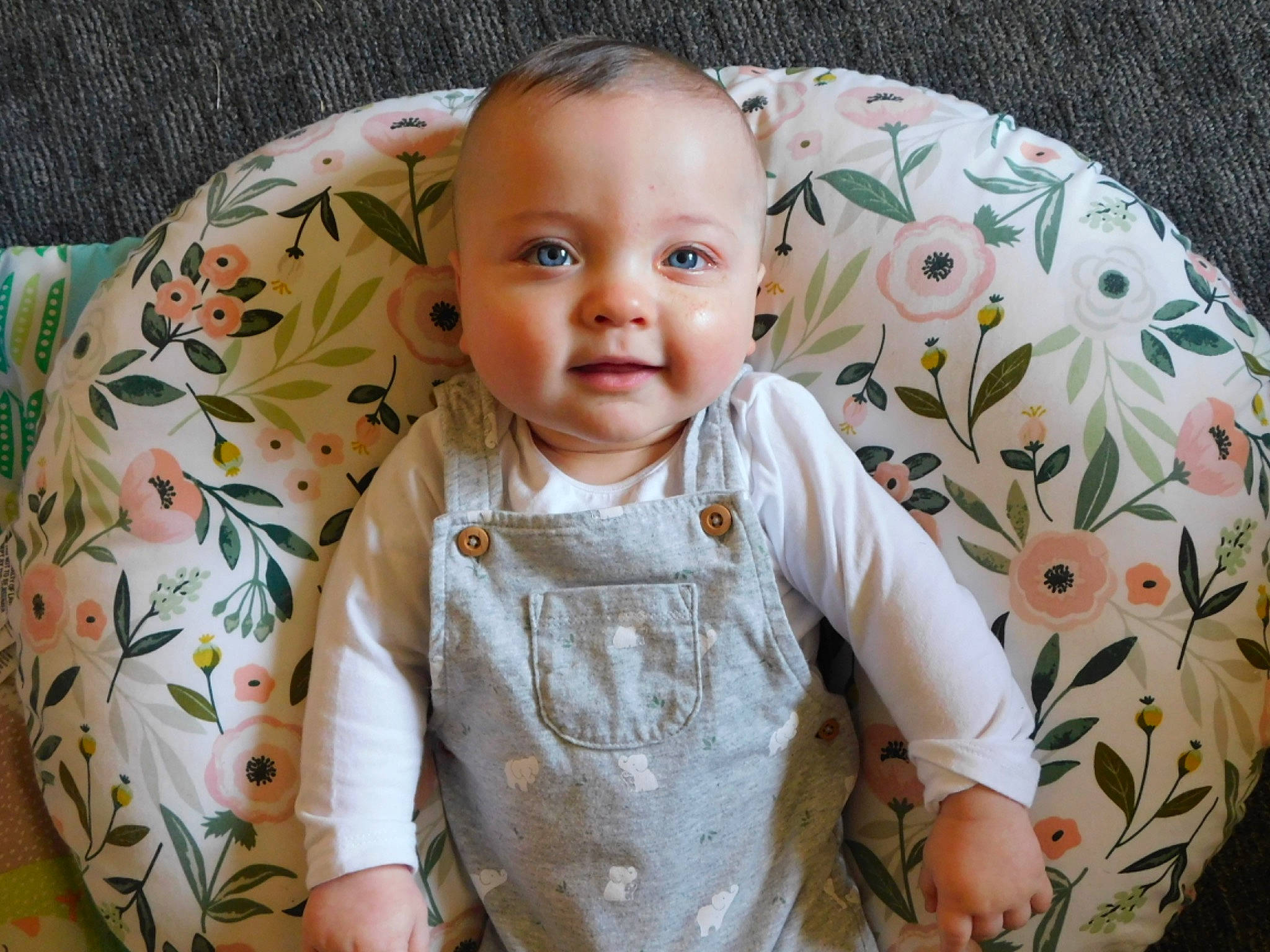 Gregory is registered to the contest to win money with this photo: baby, baby_toddler_clothing, cheek, collar, comfort, dress, eye, facial_expression, happy, head, iris, lip, mammal, nose, people, person, skin, sleeve, smile, textile