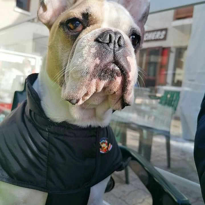 Georges