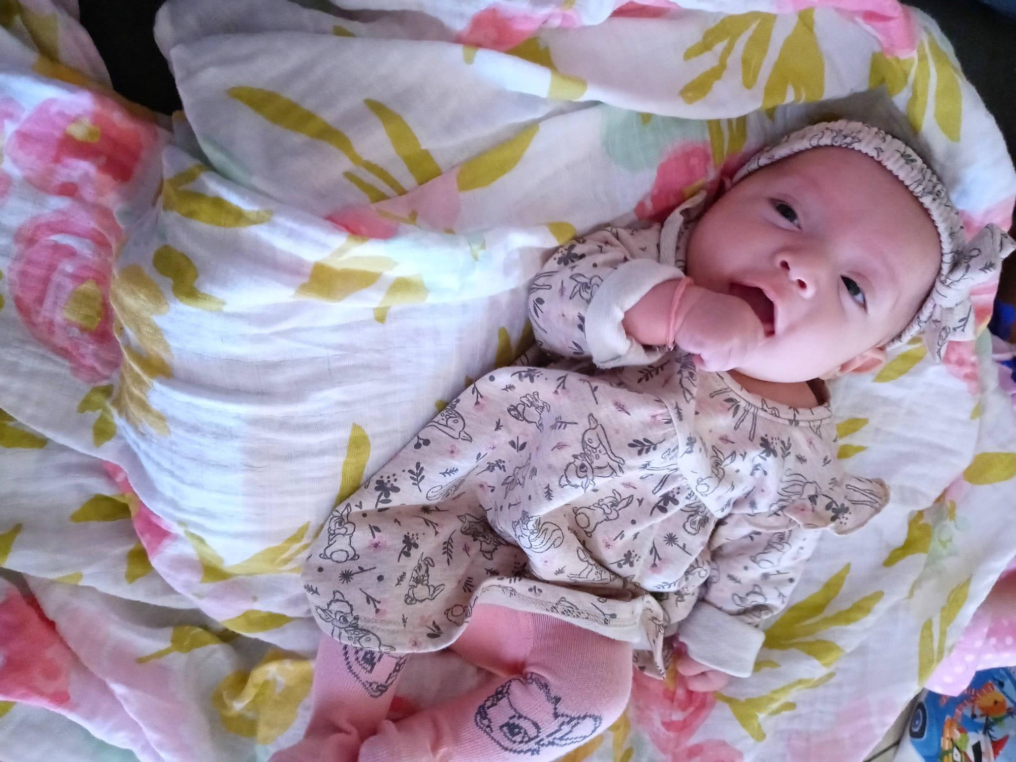 Khalessi joined the competition — help win amazing prizes! baby, baby_products, baby_toddler_clothing, cheek, child, comfort, eye, eyelash, happy, headwear, iris, linens, lip, pattern, peach, person, petal, pink, room, skin