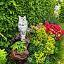 cat, fluffy, tree_stump, garden, flowers, greenery, orange_flowers, red_flowers, yellow_flowers, grass, plants, outdoor, nature, leafy, pet, animal, sunlight, shrub, spring, peaceful