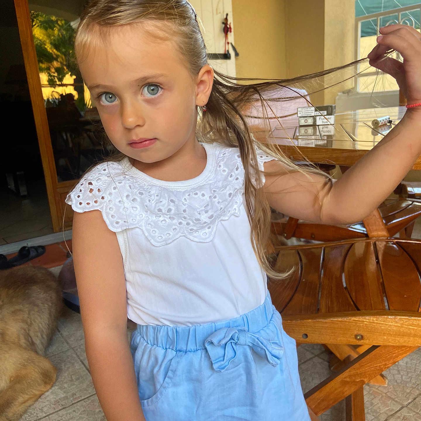 Giulia participe au concours pour gagner de l'argent avec cette photo : accessories, animal, blouse, canine, child, clothing, dog, dress, face, female, furniture, girl, head, pants, person, pet, photography, portrait, table, wood