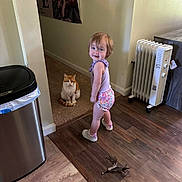 Olivia joined the competition — help win amazing prizes! toddler, child, cat, indoor, floor, carpet, toy, feathers, heater, trash_can, wooden_floor, purple_top, shorts, shoes, smile, curious, pet, animal, home, person