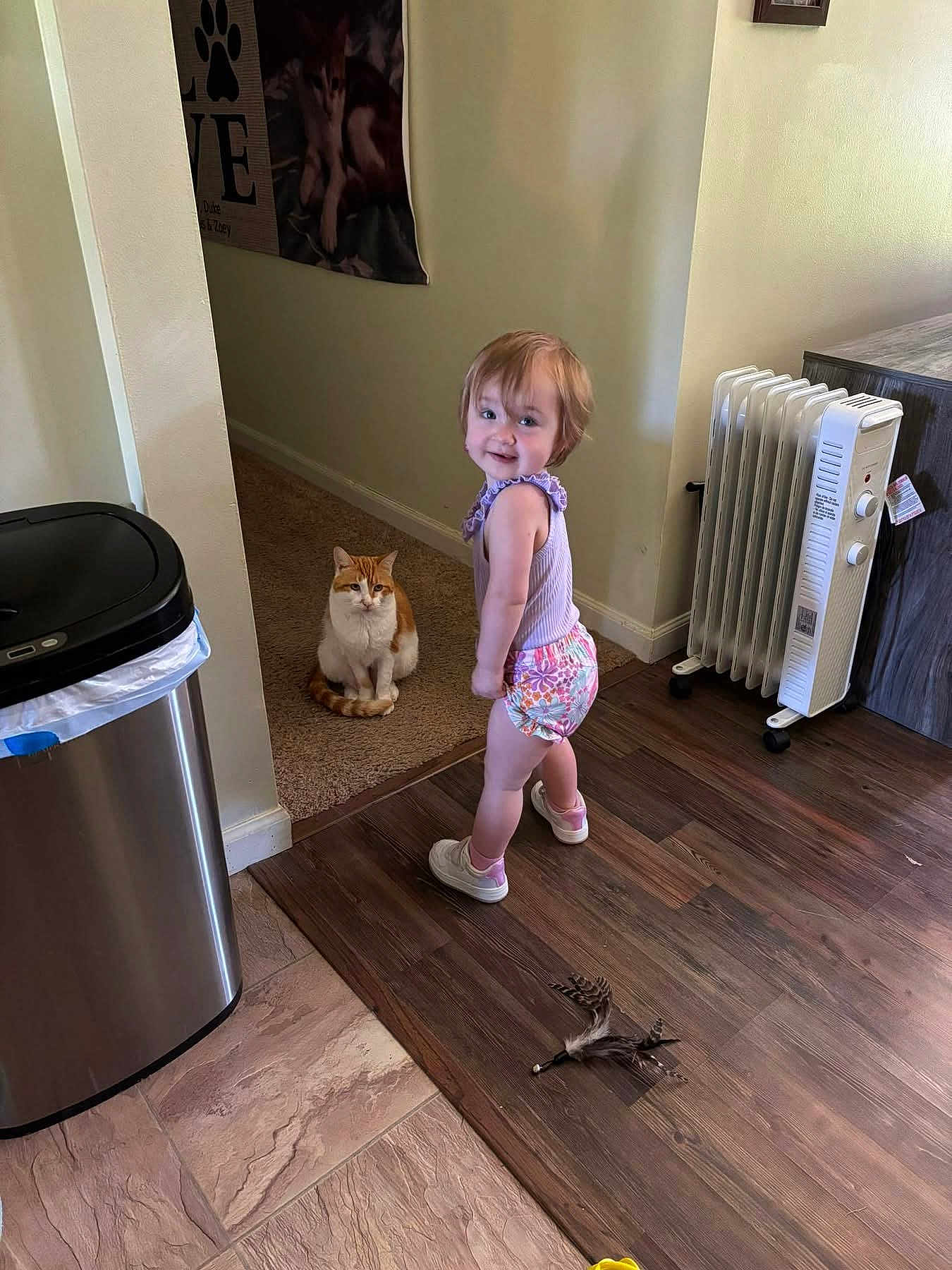 Olivia joined the competition — help win amazing prizes! toddler, child, cat, indoor, floor, carpet, toy, feathers, heater, trash_can, wooden_floor, purple_top, shorts, shoes, smile, curious, pet, animal, home, person