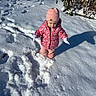 child, toddler, snow, winter, outdoor, cold, hat, jacket, gloves, footprints, sunlight, shadow, nature, plants, walking, clothing, pink, white, daytime, person