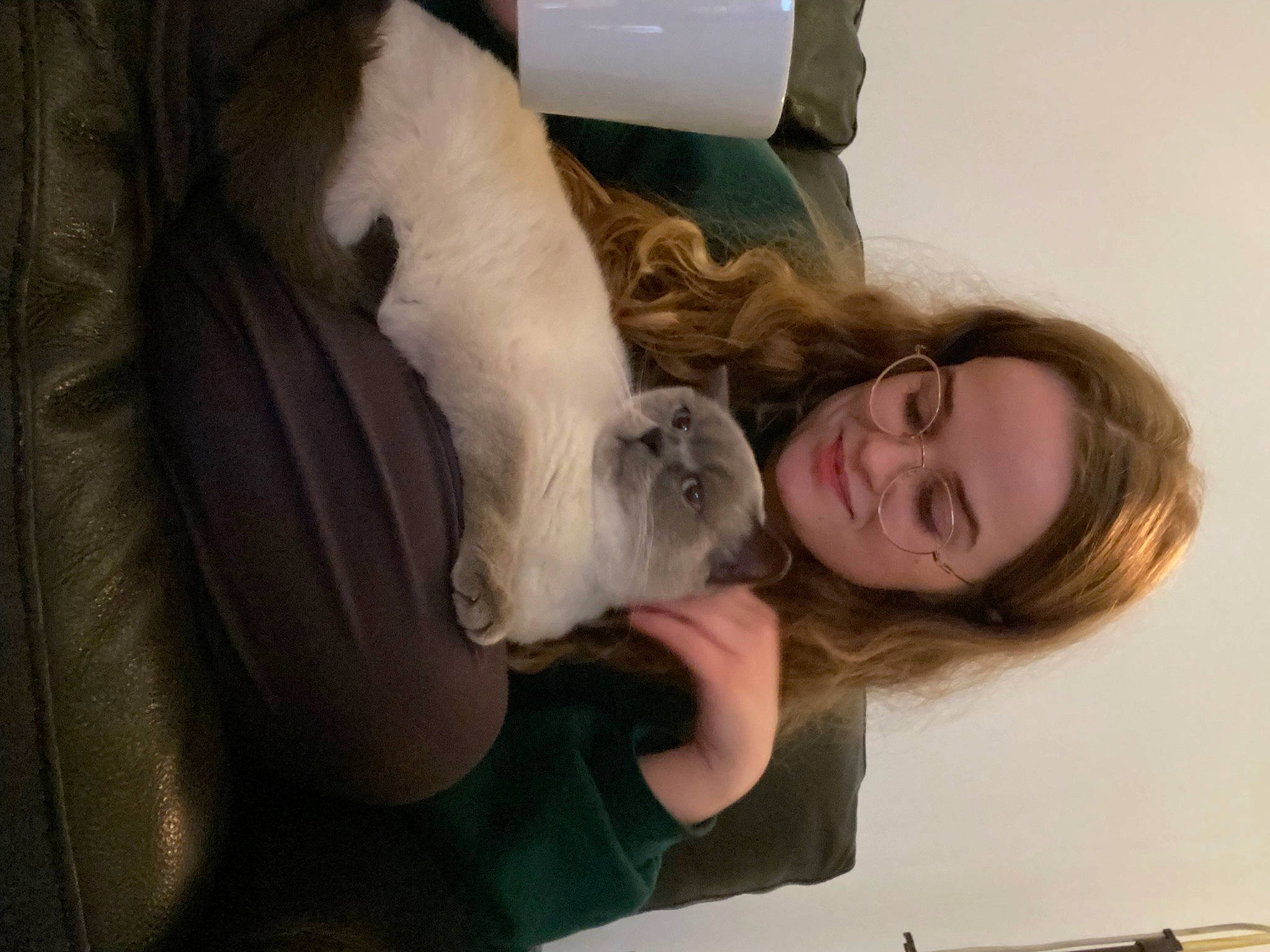 Forrest joined the competition — help win amazing prizes! canidae, carnivore, cat, comfort, companion_dog, dog_breed, domestic_short_haired_cat, fawn, felidae, fur, guinea_pig, nap, paw, rabbit, rodent, small_to_medium_sized_cats, snout, sporting_group, tail, whiskers