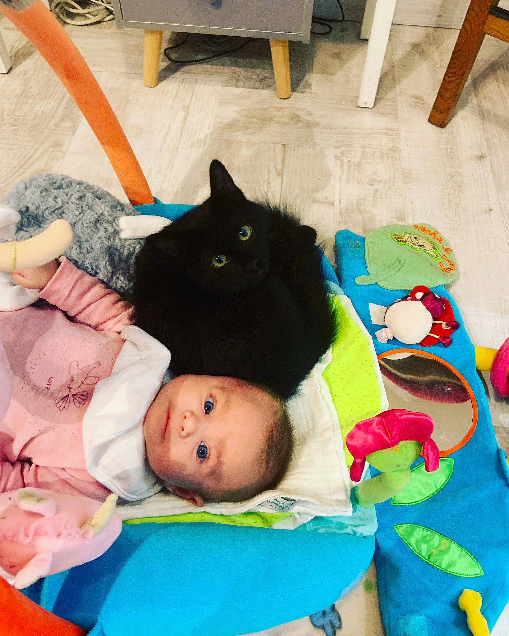Onyx participe au concours pour gagner de l'argent avec cette photo : baby, black_hair, cat, child, ear, play, room, skin, textile, toddler, toy