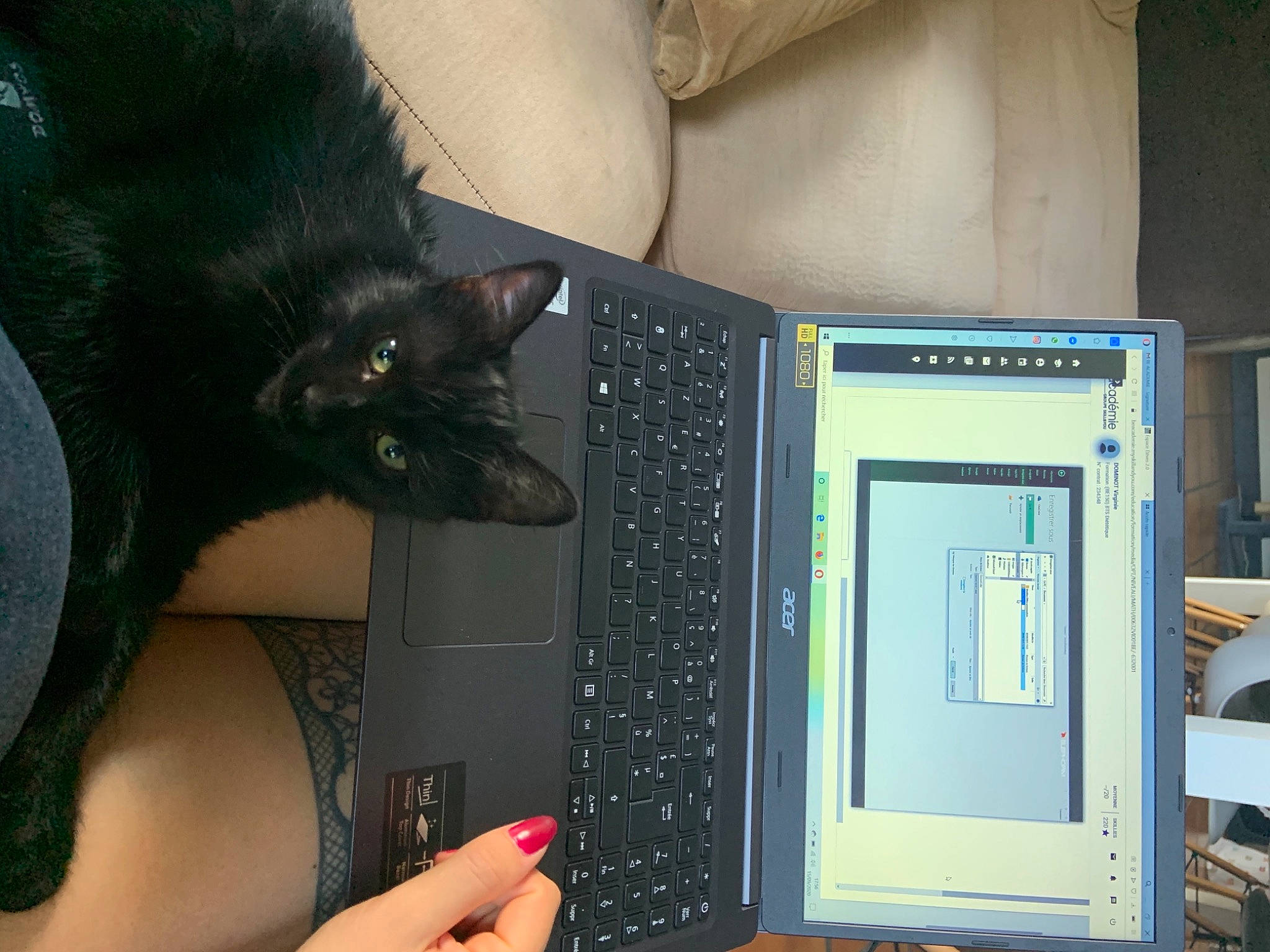 Onyx a rejoint le concours — aidez-le/la à gagner de superbes lots ! black_cat, carnivore, cat, domestic_short_haired_cat, electronic_device, felidae, korat, russian_blue, small_to_medium_sized_cats, technology, whiskers