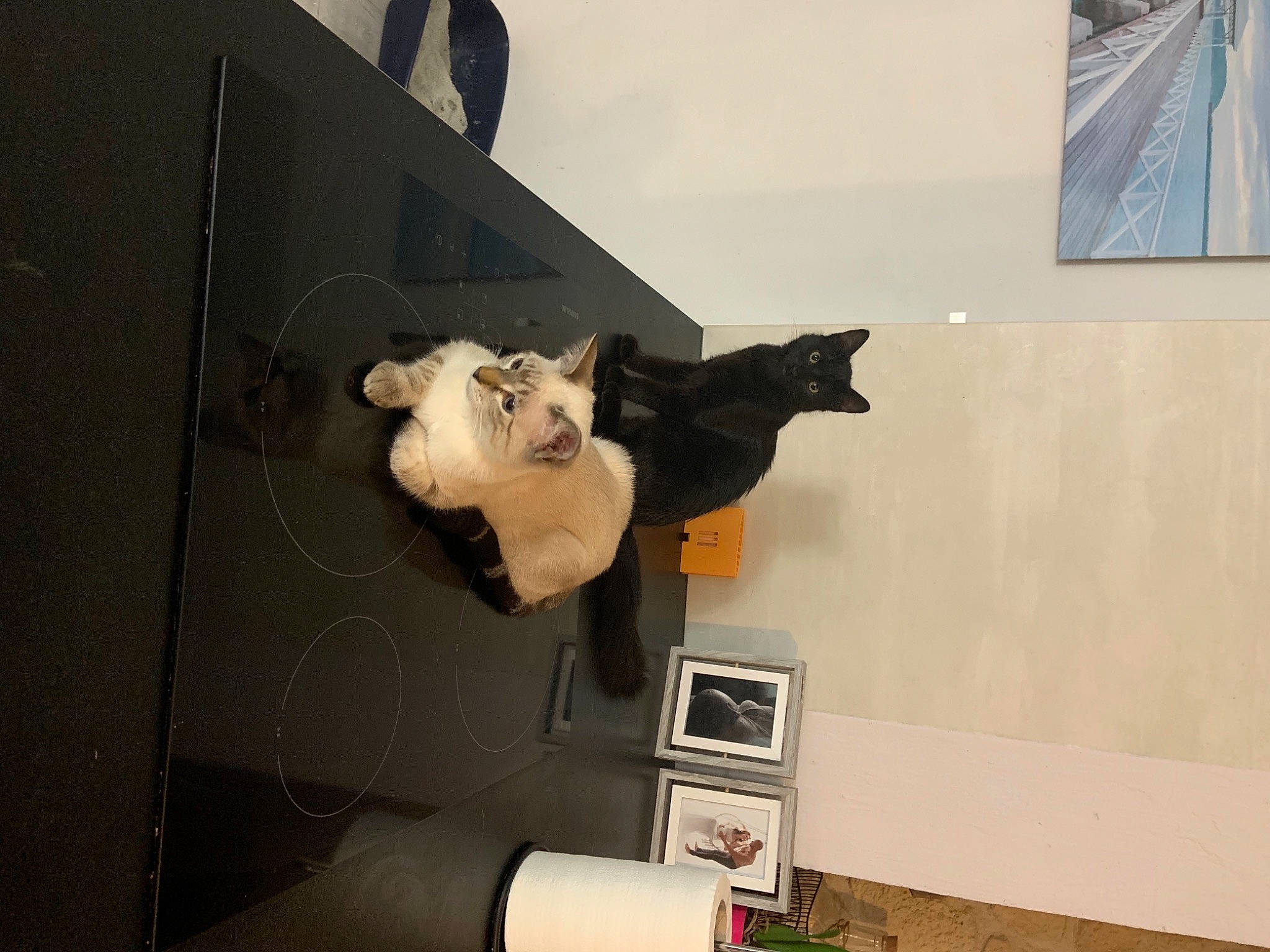 Onyx a rejoint le concours — aidez-le/la à gagner de superbes lots ! art, fawn, sculpture, visual_arts