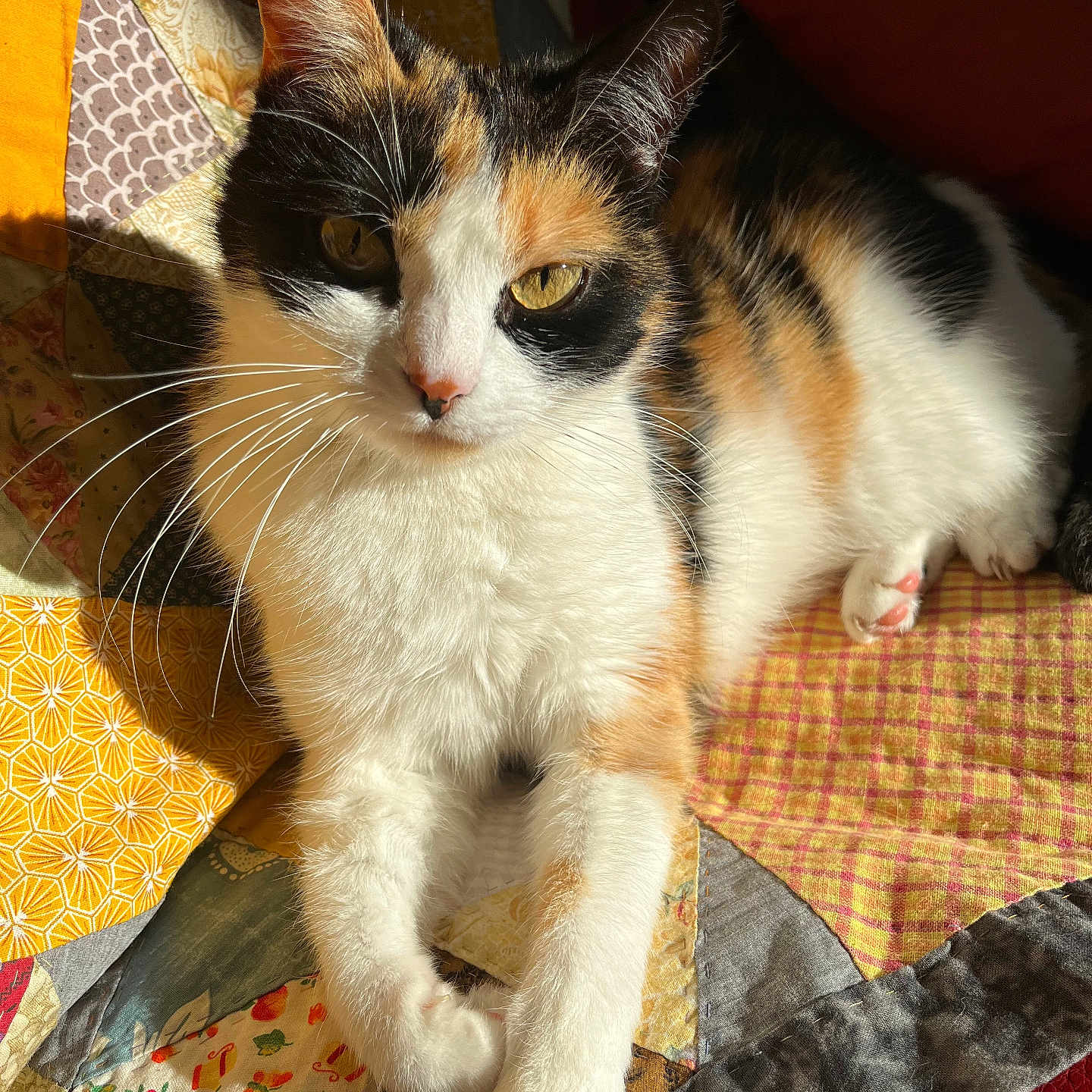 Sookie