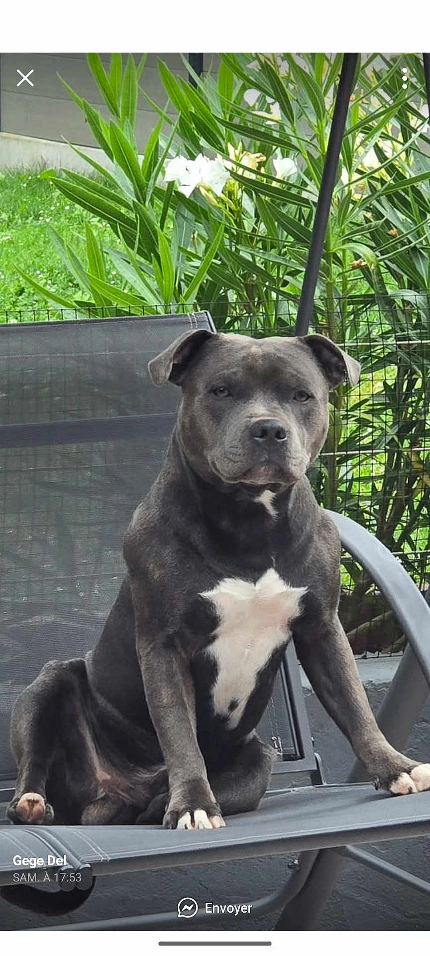 Urko