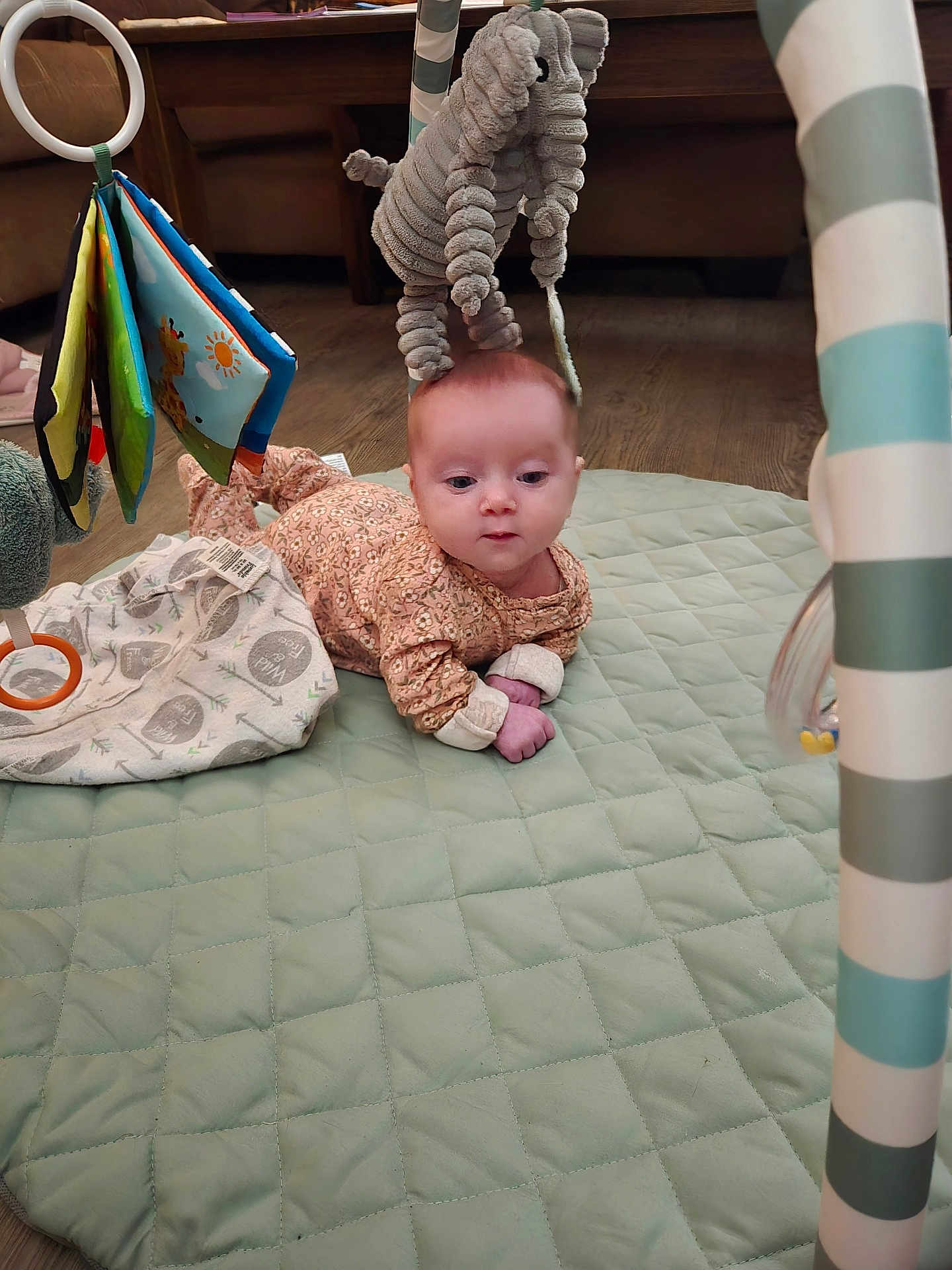 Hazel is registered to the contest to win money with this photo: baby, infant, play_mat, plush_toy, elephant_toy, hanging_toys, floor, wooden_floor, quilted_mat, clothing, person, indoor, cute, child, curious, small_hands, face, head, baby_girl, soft_toys