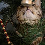 animal, cat, celebration, christmas_tree, close_up, curious, decorations, feline, festive, gold_beads, greenery, holiday_decor, indoor, nature, ornament, pet, red_beads, snowman_ornament, tabby_cat, whiskers