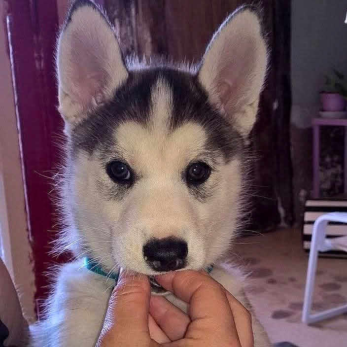 Lucky