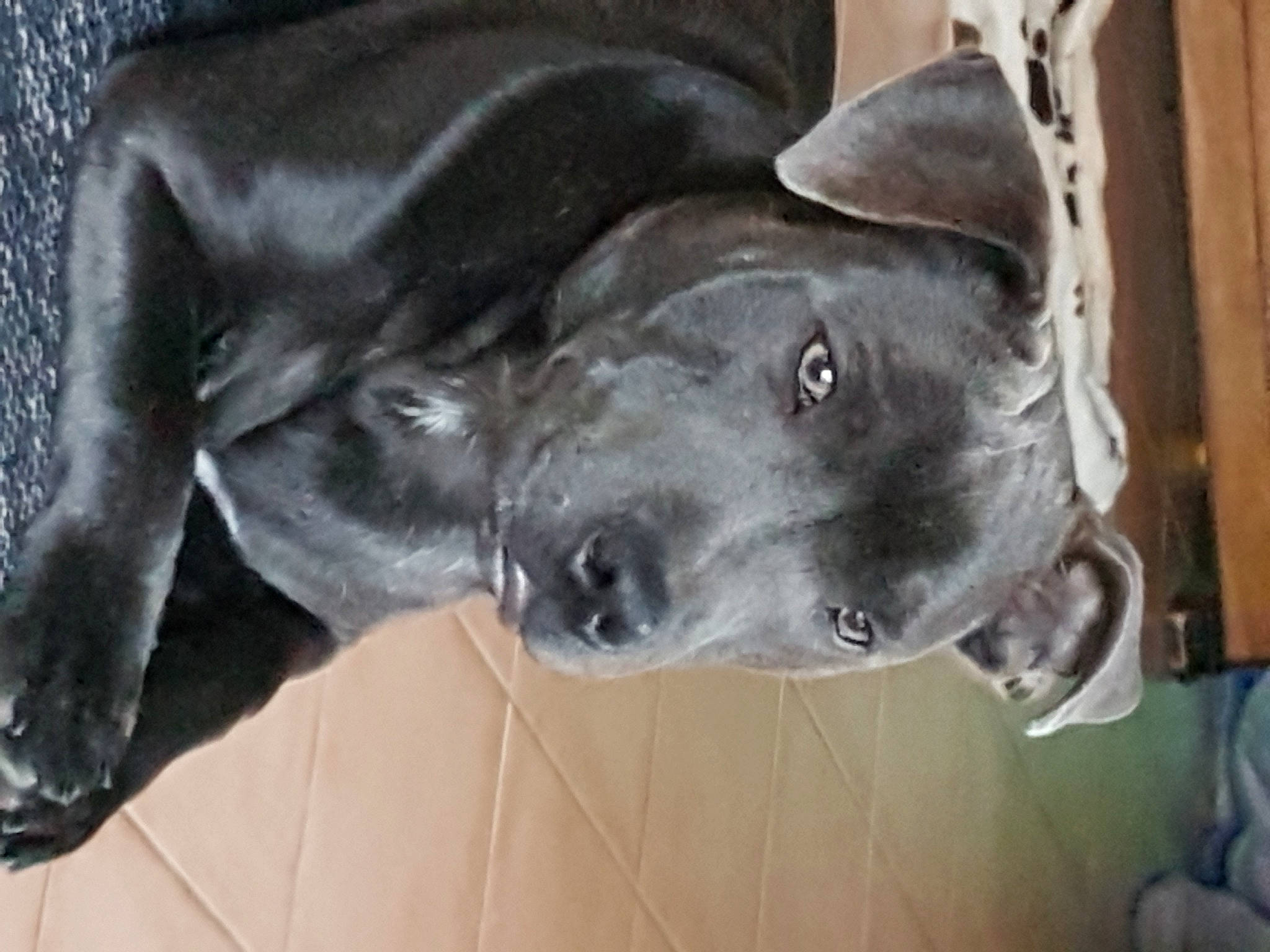 Okley