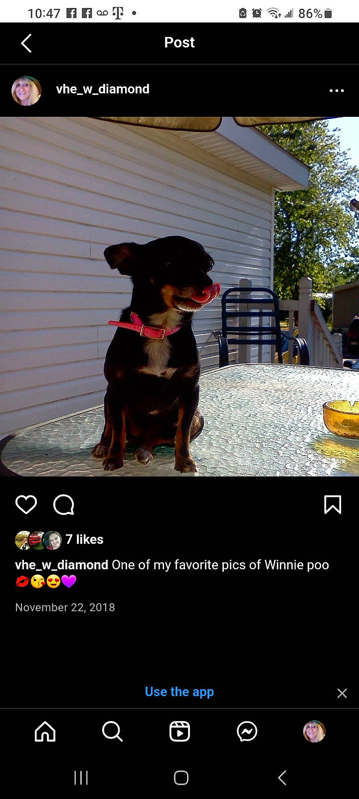Winnie Poo
