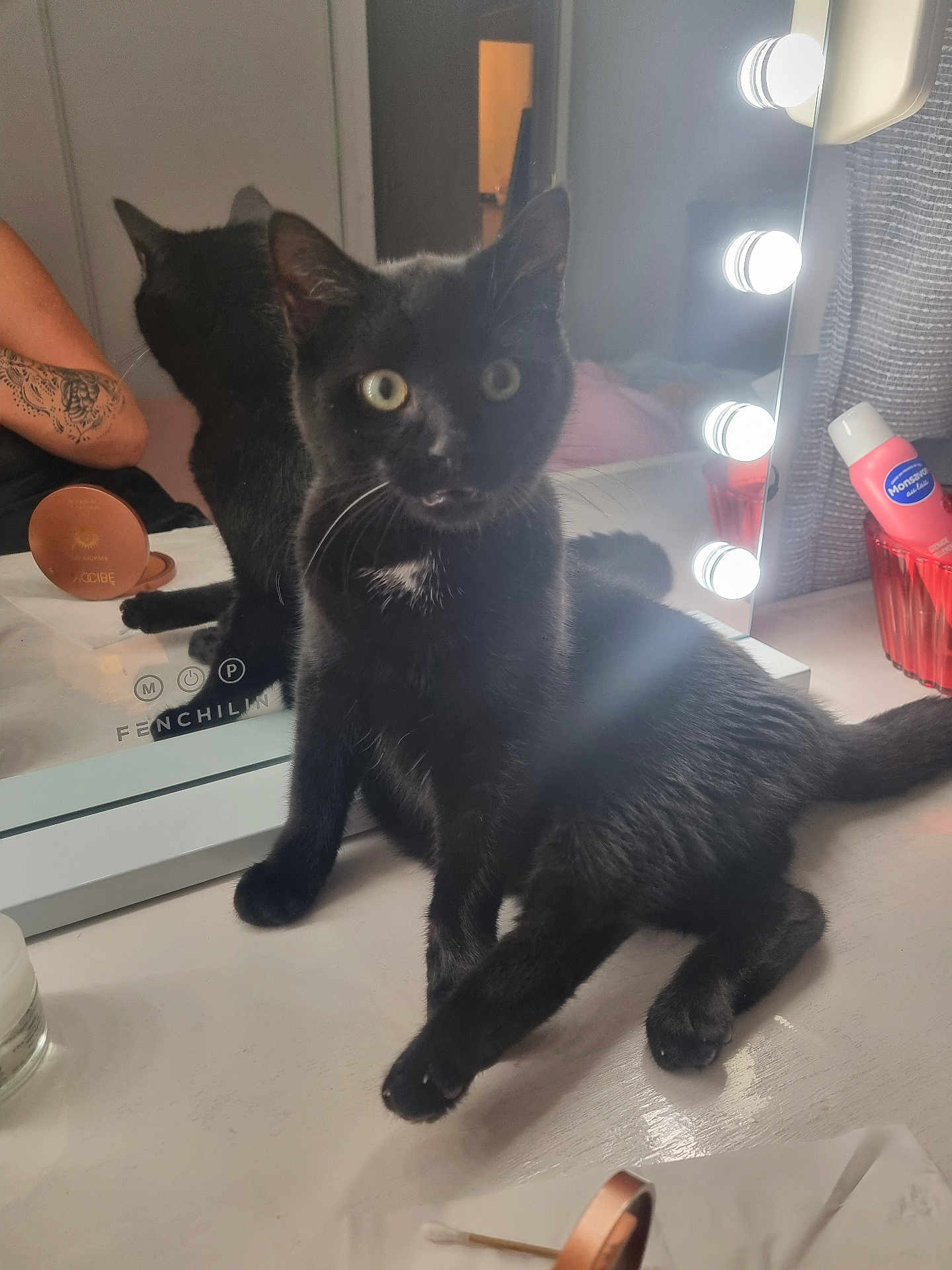 Amour participe au concours pour gagner de l'argent avec cette photo : black_cat, cat, reflection, mirror, vanity_table, indoor, pet, curious, wide_eyes, feline, whiskers, lighted_mirror, cosy, tabletop, makeup, bottle, tattooed_arm, fur, domestic_animal, closeup