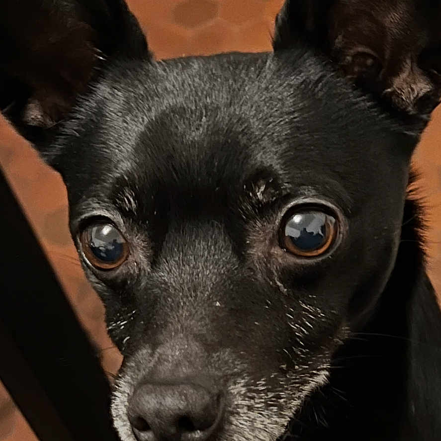 Jack