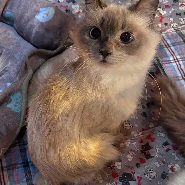 Suzie