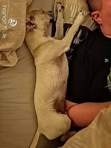 Tobby a rejoint le concours — aidez-le/la à gagner de superbes lots ! abdomen, barechested, carnivore, chest, child, comfort, companion_dog, elbow, fawn, fur, gesture, human_body, human_leg, knee, neck, stuffed_toy, thigh, toy, trunk, vertebrate