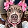 Betty