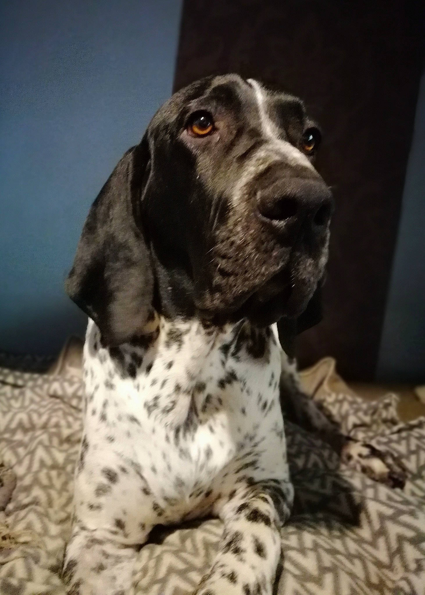 Toch Du Ruisseau De Montbrun