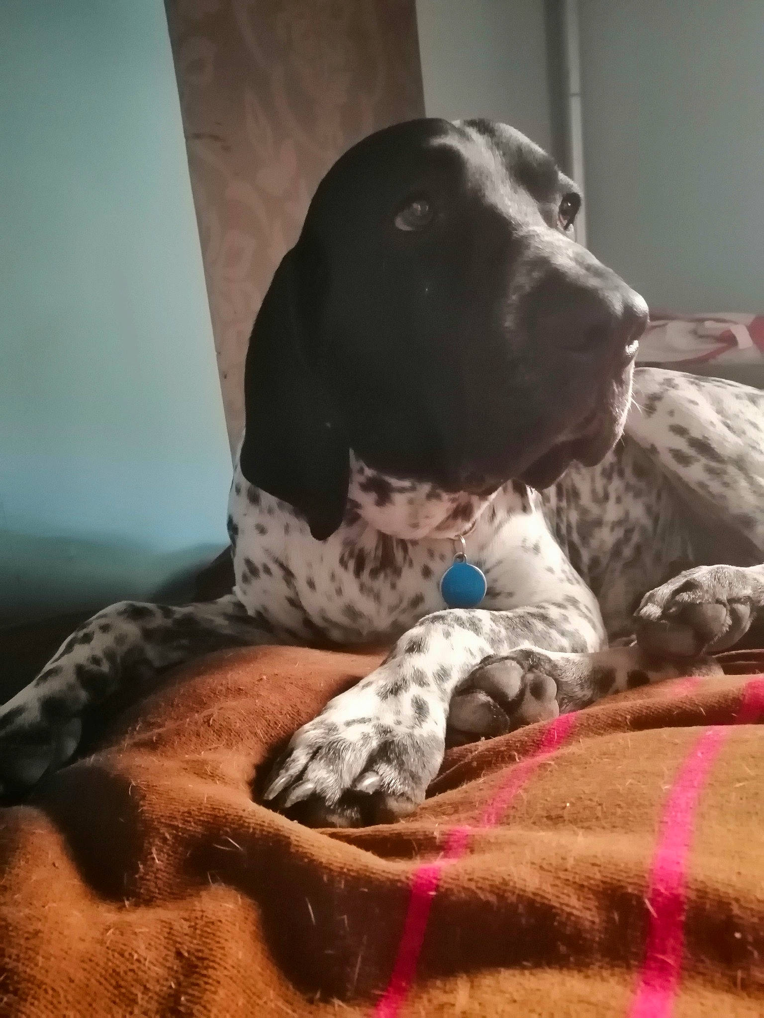 Toch Du Ruisseau De Montbrun