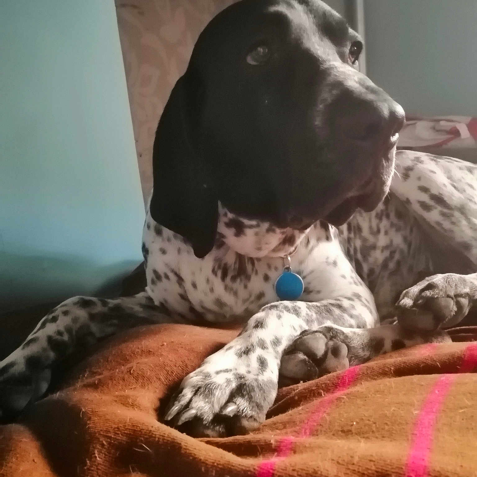 Toch Du Ruisseau De Montbrun