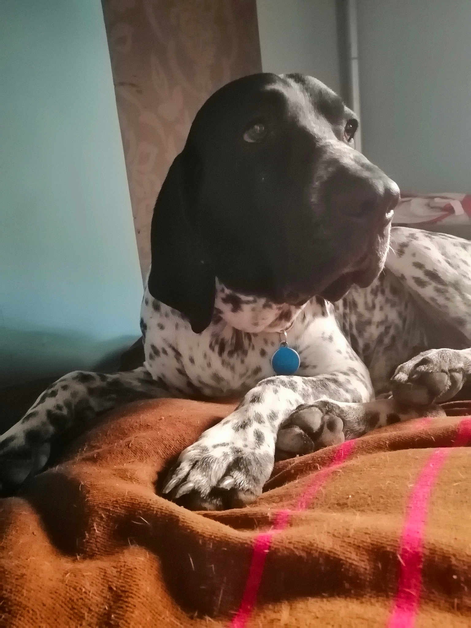 Toch Du Ruisseau De Montbrun