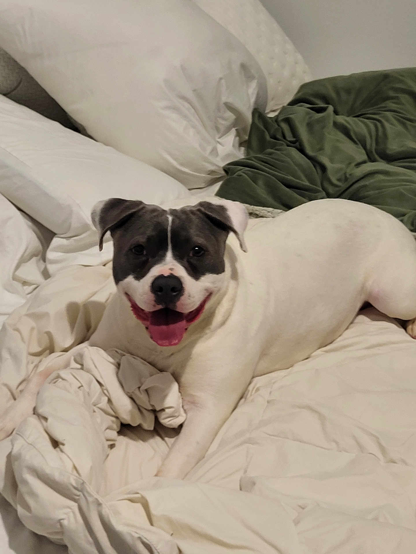 Luna