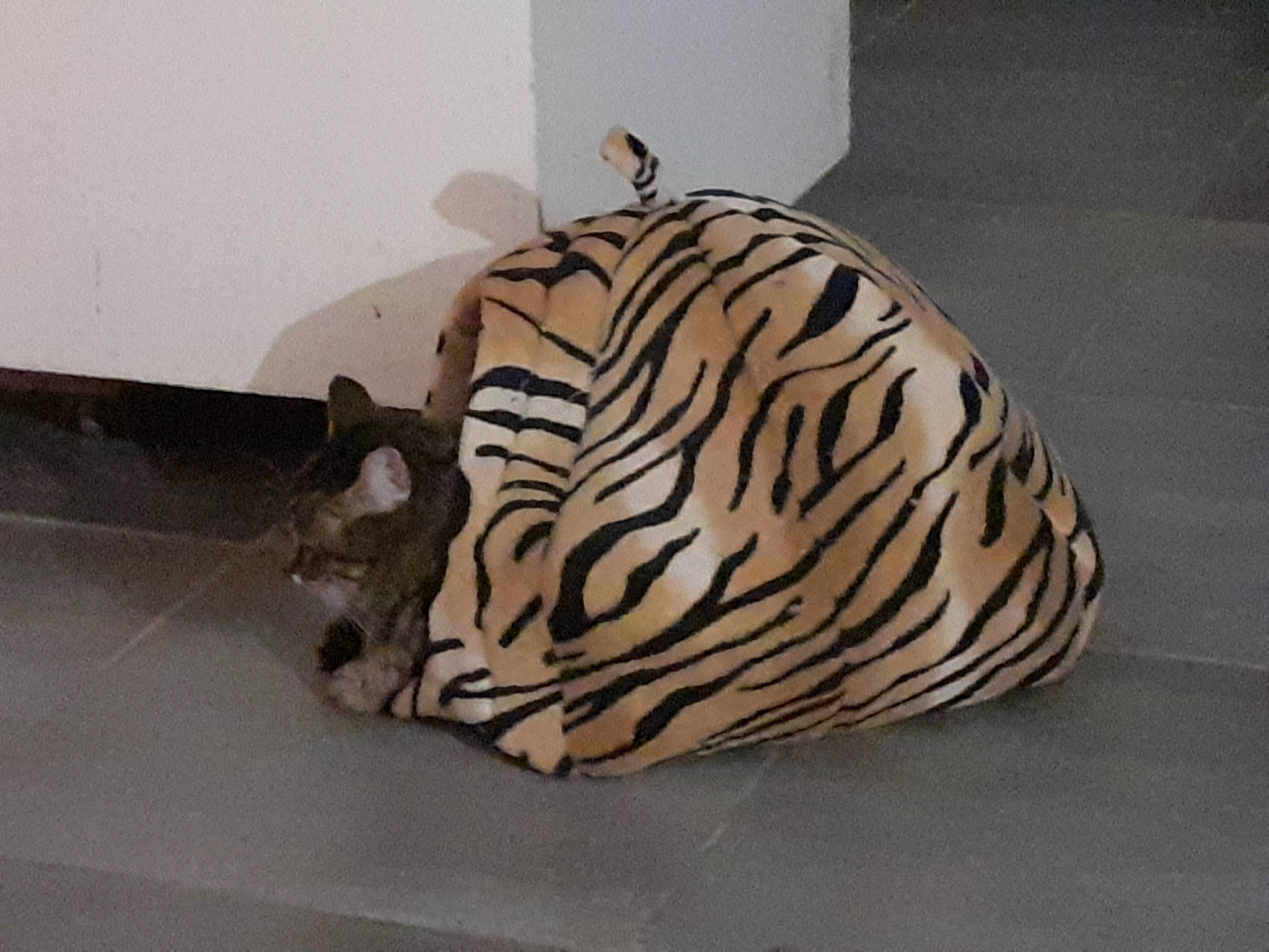 Malice a rejoint le concours — aidez-le/la à gagner de superbes lots ! art, automotive_design, bengal_tiger, big_cats, carnivore, comfort, fawn, felidae, fur, pattern, siberian_tiger, small_to_medium_sized_cats, snout, tail, terrestrial_animal, tiger, visual_arts, whiskers, wildlife, wood